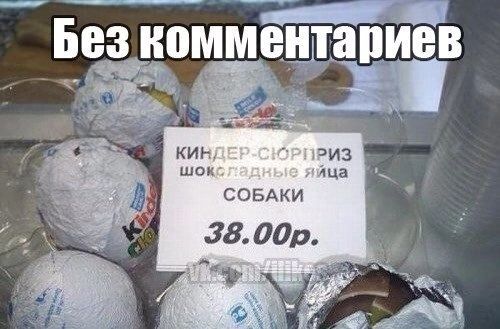 СОБАКИ 3800р я _5 и