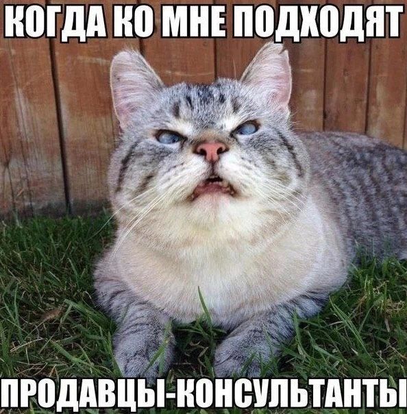 ШГдд Ш МНЕ подходят пюддвцынонсипьтднты