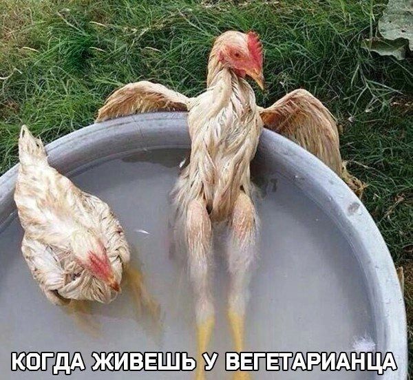 ЖПЩШЭУ