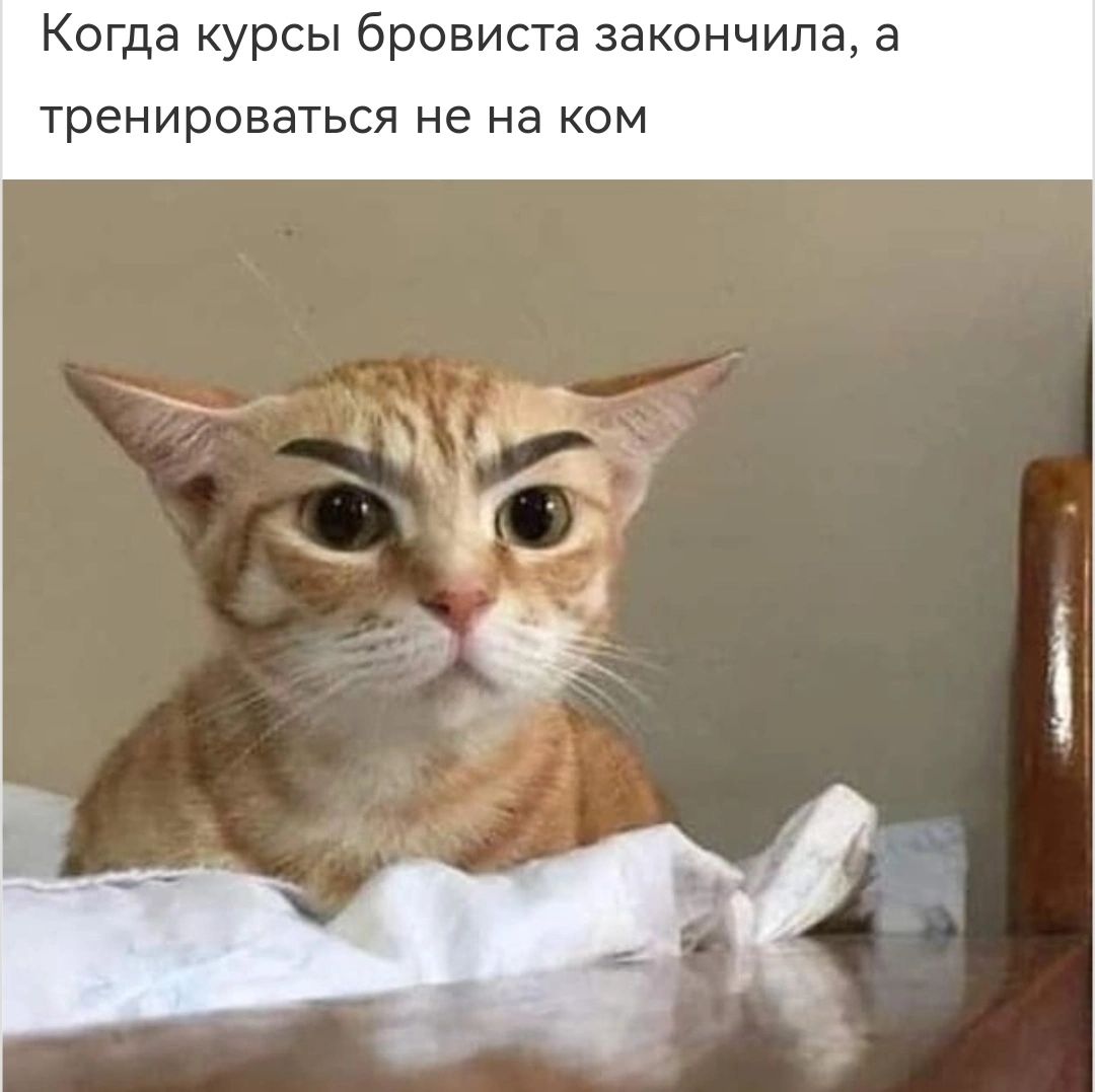 Когда курсы бровиста закончила а тренироваться не на ком