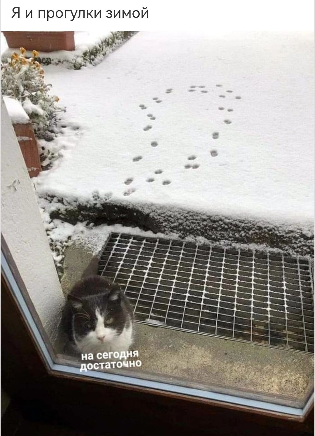 Я и прОГуПКИ зимой
