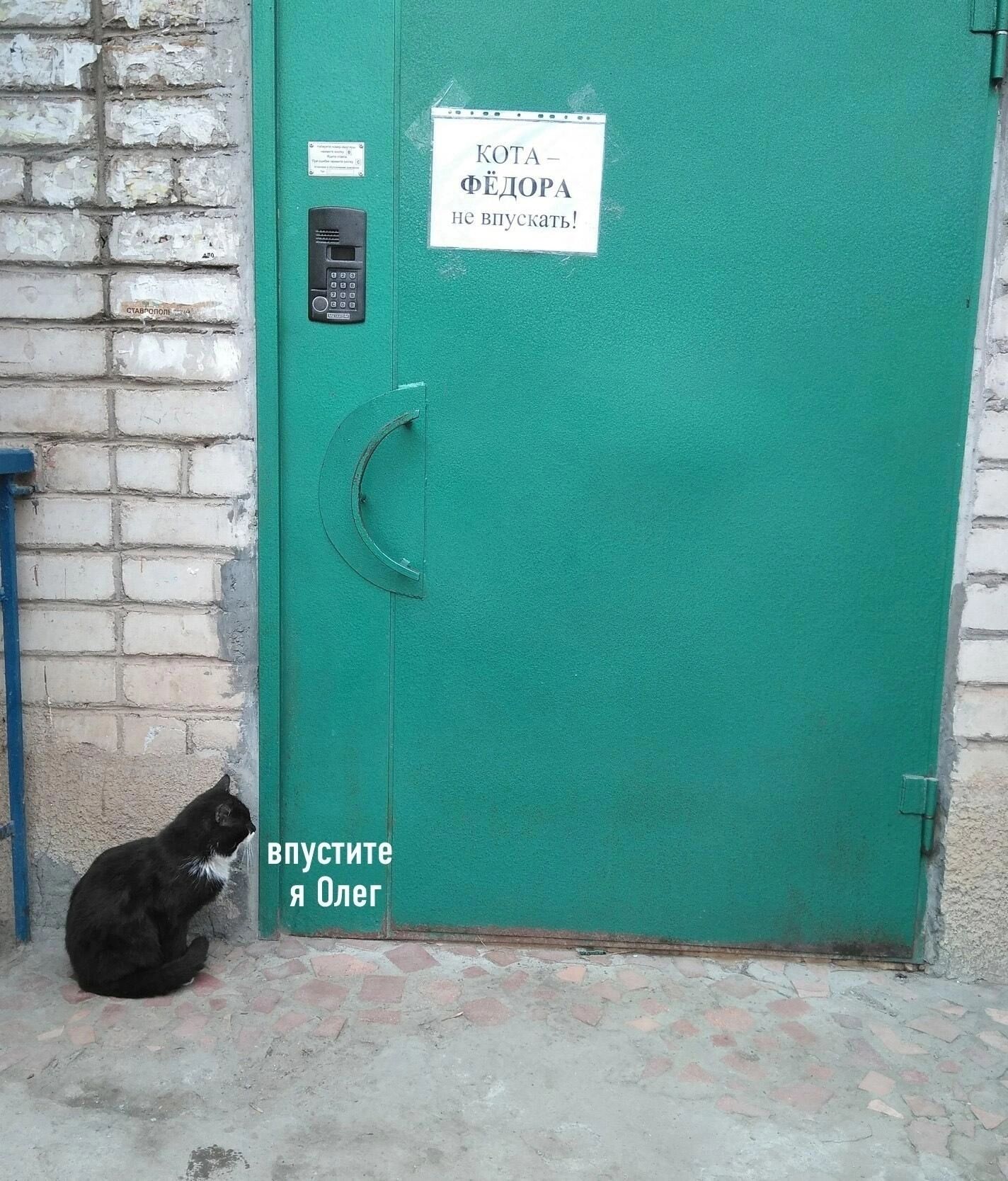 впустите я Олег