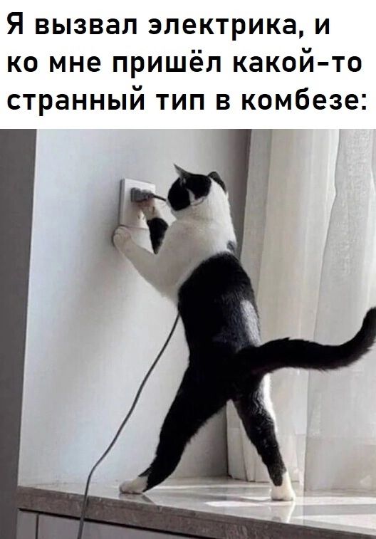 Я вызвал электрика и ко мне пришёл какой то странный тип в комбезе