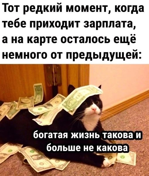 Тот редкий момент когда тебе приходит зарплата а на карте осталось ещё немного от предыдущей больше некаова