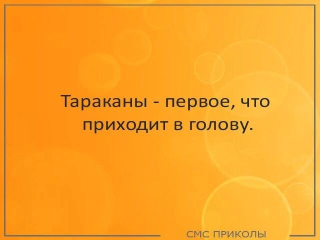 Тараканы первое что ПРИХОДИТ В ГОЛОВУ смс прицеп ы