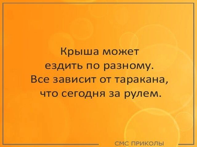 Моя крыша может ездить по разному все зависит от таракана который сегодня за рулем картинки