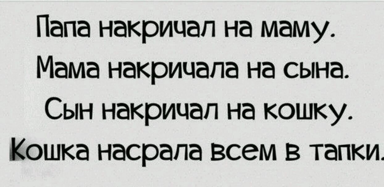 Папа накрицап на маму Мама накрицапа на сына Сын накрицап на кошку Кошка насрапа всем в тапки