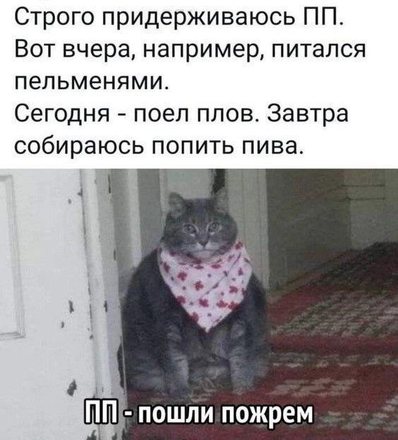 Строго придерживаюсь ПП Вот вчера например питался пельменями Сегодня поел плов Завтра собираюсь попить пива П пошли пожрем