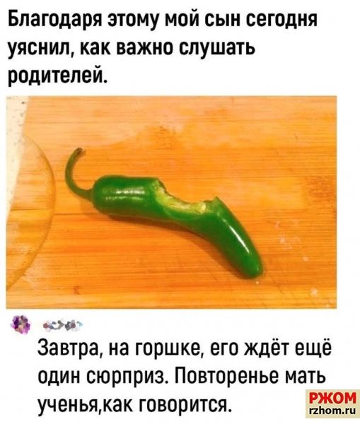 Благодаря этому мой сын сегодня уяснил как важно слушать родителей эо Завтра на горшке его Ждёт ещё один сюрприз Повторенье мать ученьякак говорится дім