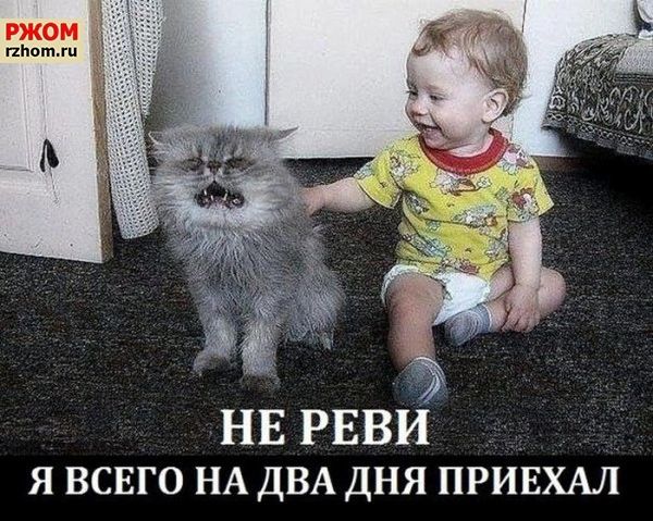 НЕ РЕВИ я всвго НА ДВА дня прив