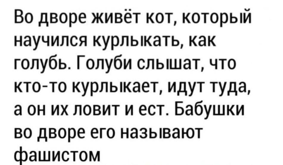 Во дворе живёт кот который научился курлыкать как голубь Голуби слышат что кто то курлыкает идут туда а он их ловит и ест_ Бабушки во дворе его называют фашистом