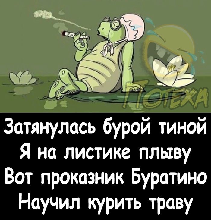 Затянулась бурой тиной Я на листике плыву Вот проказник Буратино Научил курить траву