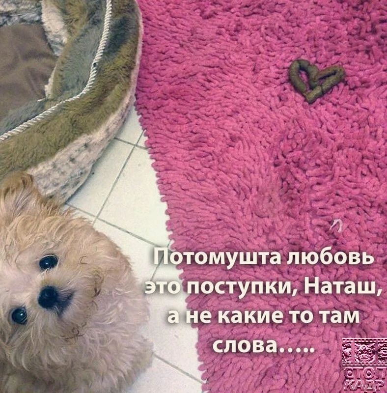 оступки Наташ А ч е йакие то ам _