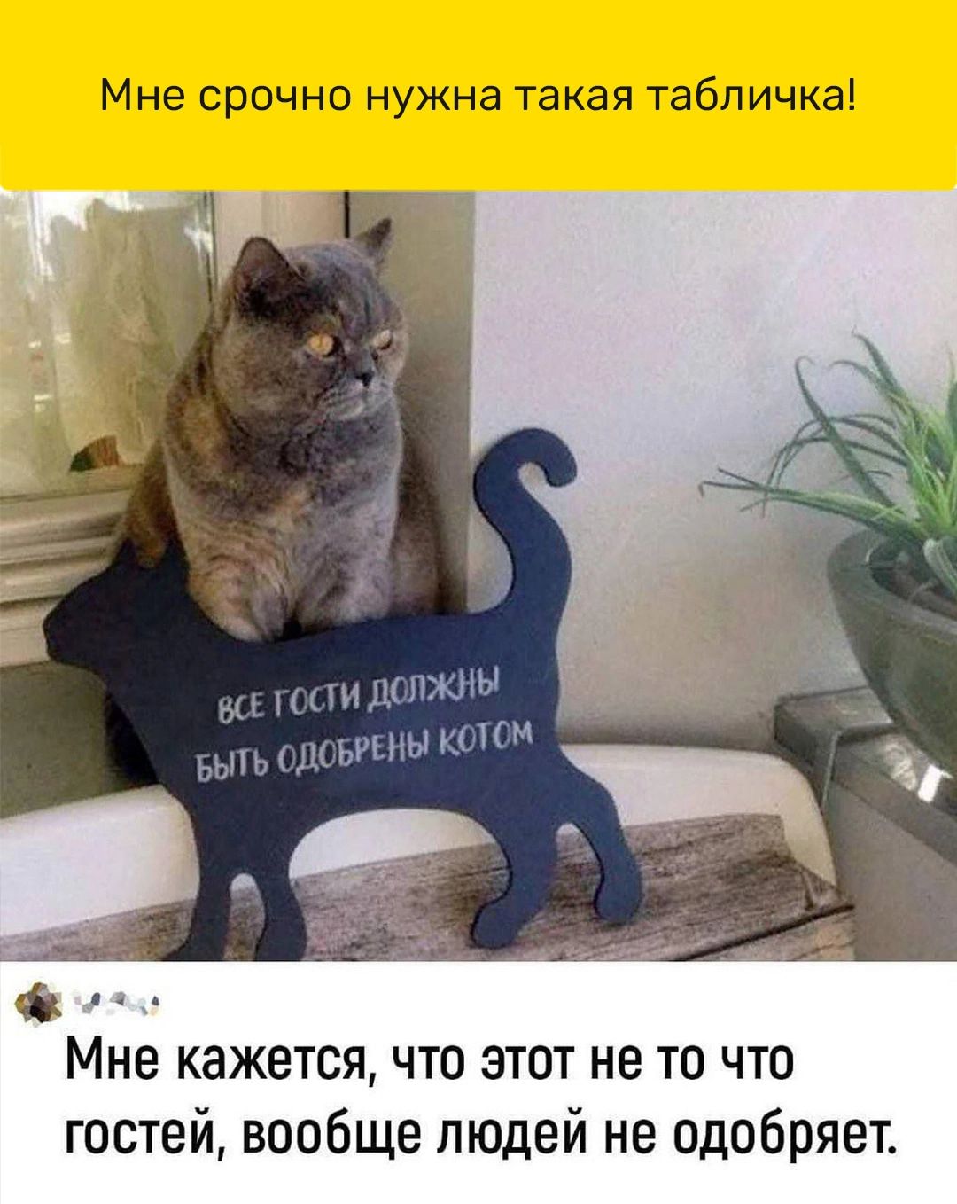 Мне кажется что этот не то что гостей вообще людей не одобряет