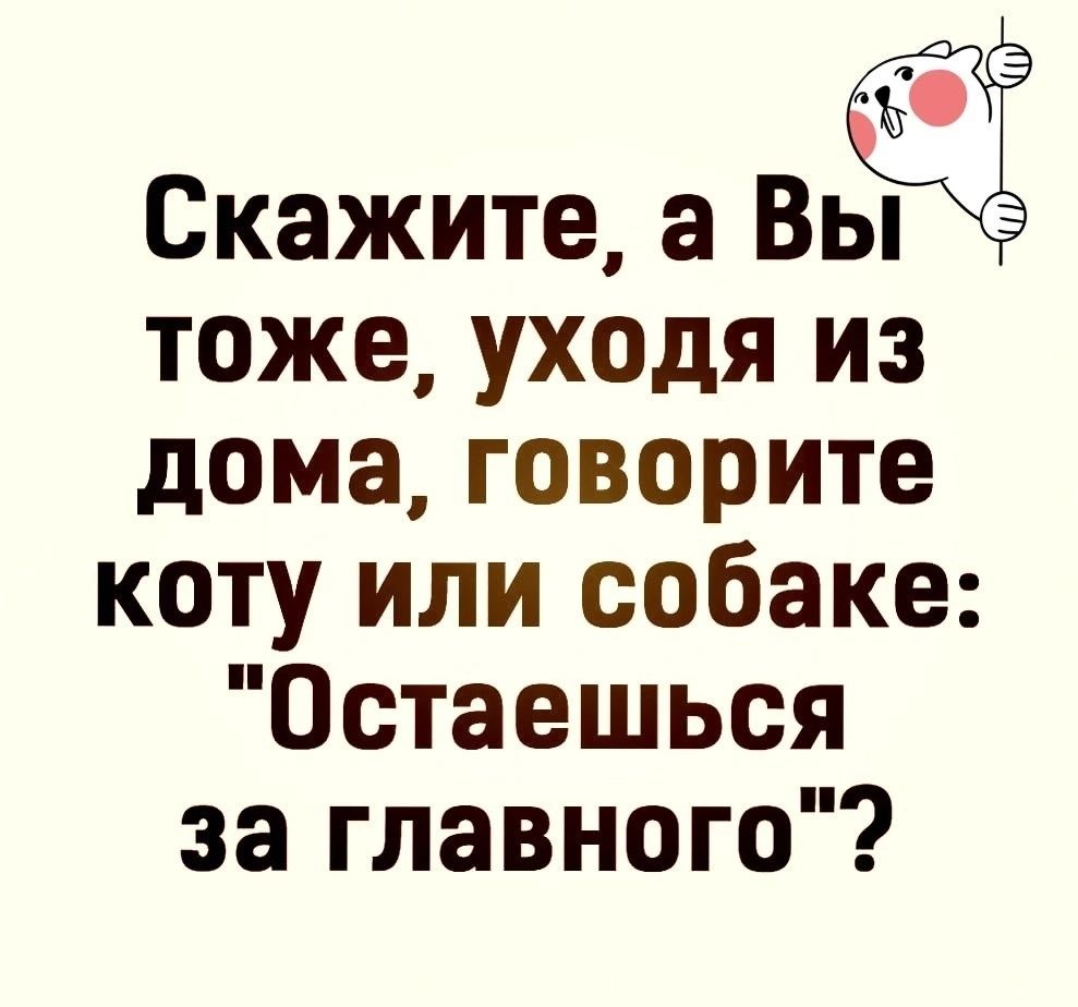 Скажите а Вьщ тоже уходя из дома говорите коту или собаке Остаешься за главного