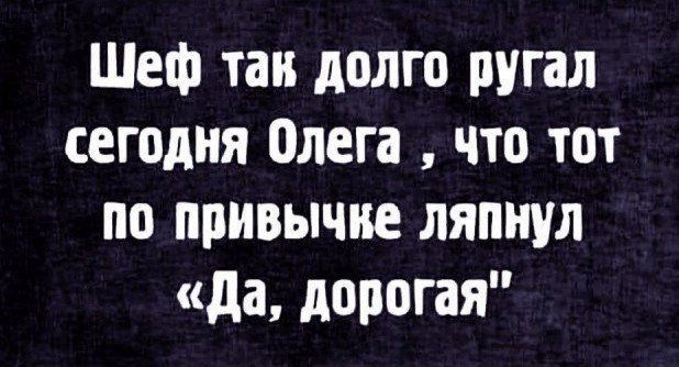 Шеф так долго пугал сегодня Олега что тот по привычке ляпнул да дорогая