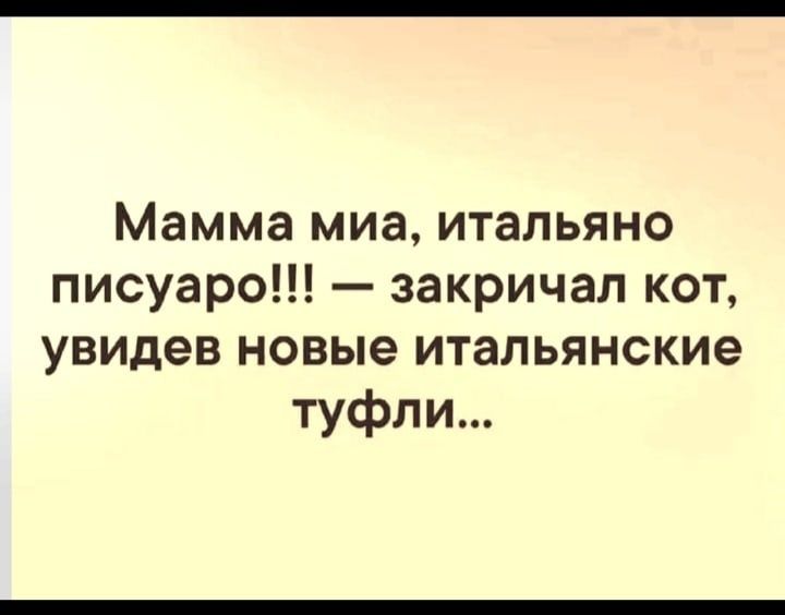 Мамма миа итальяно писуаро закричал кот увидев новые итальянские туфли