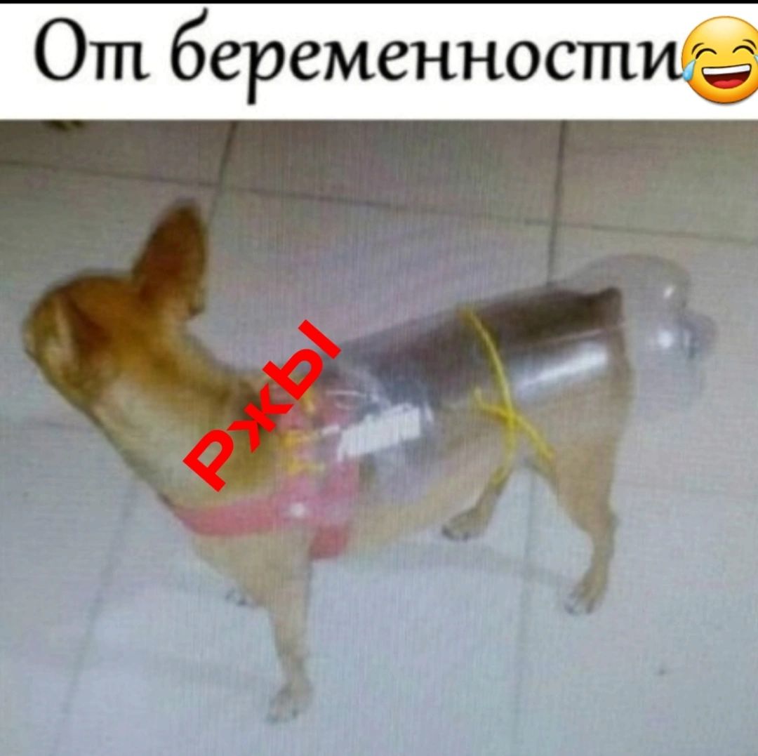 От беремшностщ Ё