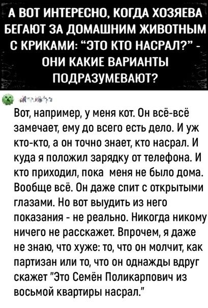 А ВОТ ИНТЕРЕСНО КОГДА ХОЗЯЕВА БЕГАЮТ ЗА ДОМАШНИМ ЖИВОТНЫМ С КРИКАМИ ЭТО КТО НАСРАЛ ОНИ КАКИЕ ВАРИАНТЫ ПОДРАЗУМЕВАЮТ А Вот например у меня кот Он всё всё замечает ему до всего есть дело И уж кто кто а он точно знает кто насрал И куда я положил зарядку от телефона и кто приходил пока меня не было дома Вообще всё Он даже спит с открытыми глазами Но вот выудить из него показания не реально Никогда ник