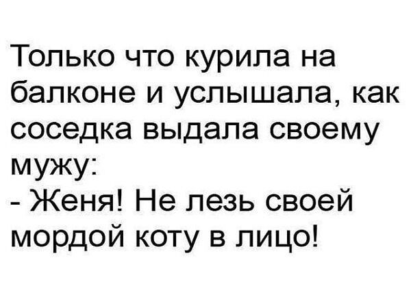 Только что курила на балконе и услышала как соседка выдала своему мужу Женя Не лезь своей мордой коту в лицо