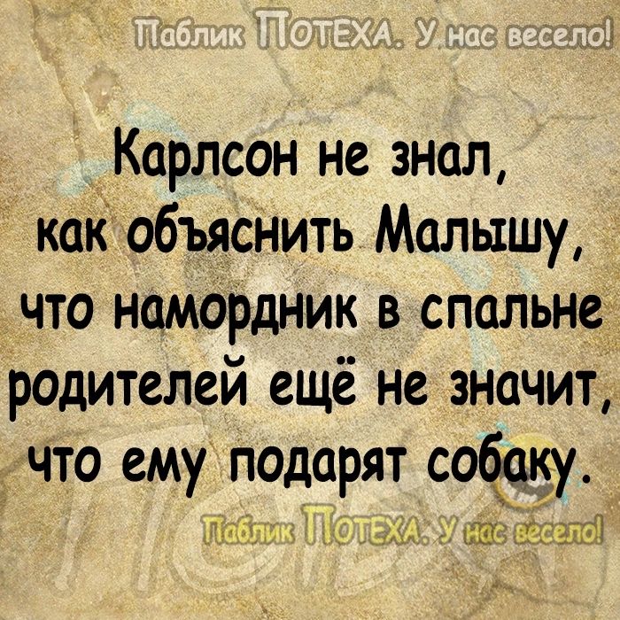 Карлсон не знал как объяснить Малышу что намордник в спальне родителей ещё не значит что ему подарят собаку т он