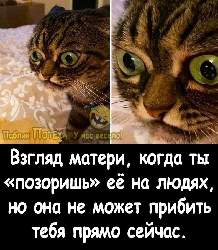 _ ч_ ВЗГЛЯД МОТСРИ когда ТЫ позоришь её на людях но она не может прибить тебя прямо сейчас