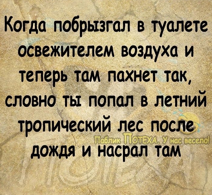 х Когда побрызгап в туалете освежителем воздуха и теперь там пахнет так __ словно ты попал в летний тропический лее после душ дОЖдЯ И наСрол ТСМ