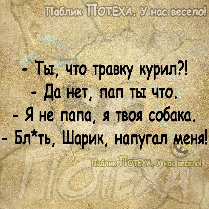 Ты что травку курил Да нет пап ты что _7 Я не пагю я твоя собака Бл ть Шарик напугал меня 71 ц ті