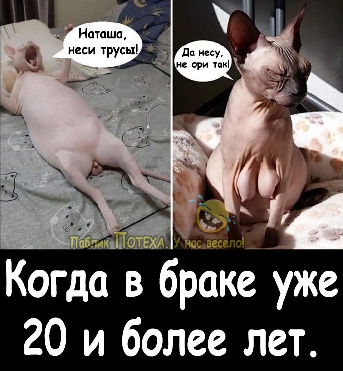 Когда Ь браке уже 20 и более лет