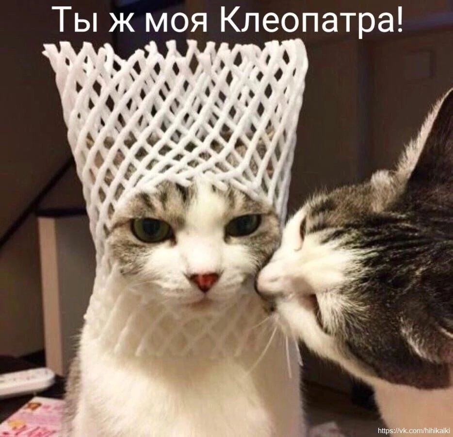 Ты ж моя Клеопатра