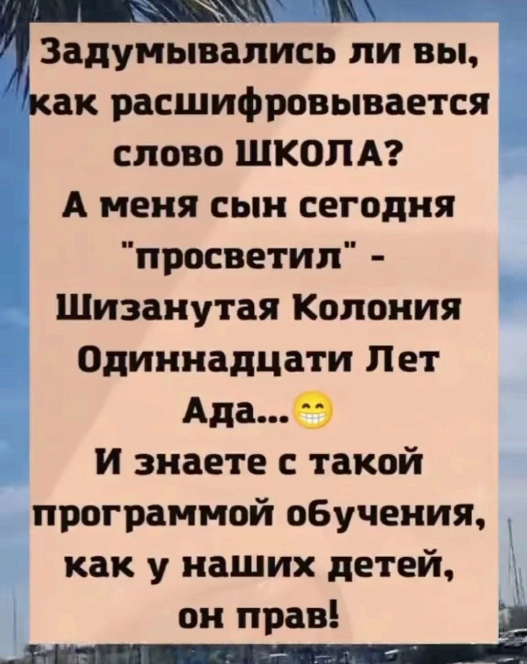 жж Задумывались ли вы как расшифровывается слово ШКОЛА А меня сын сегодня просветил Шизанутая Колония Одиннадцати Лет Адае И знаете с такой программой обучения как у наших детей он прав