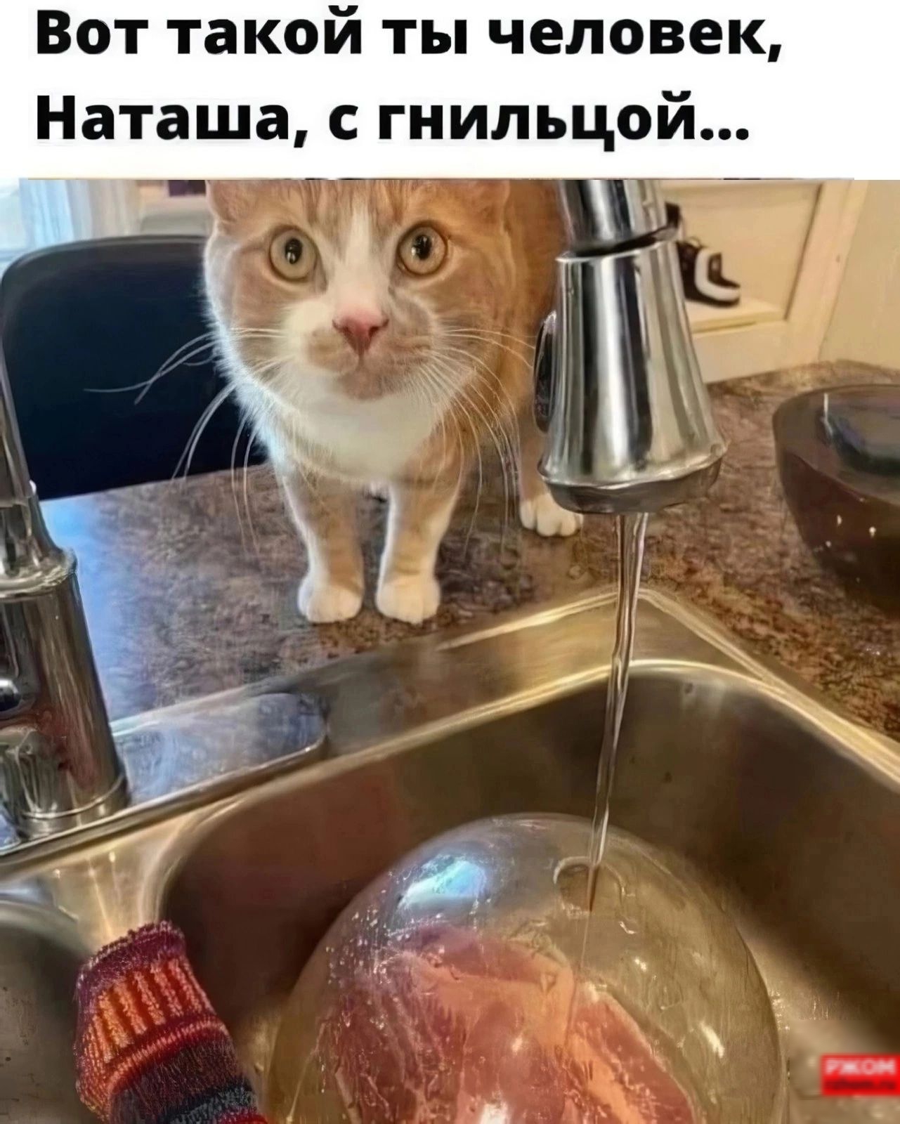 Вот такой ты человек Наташа с гнильцой