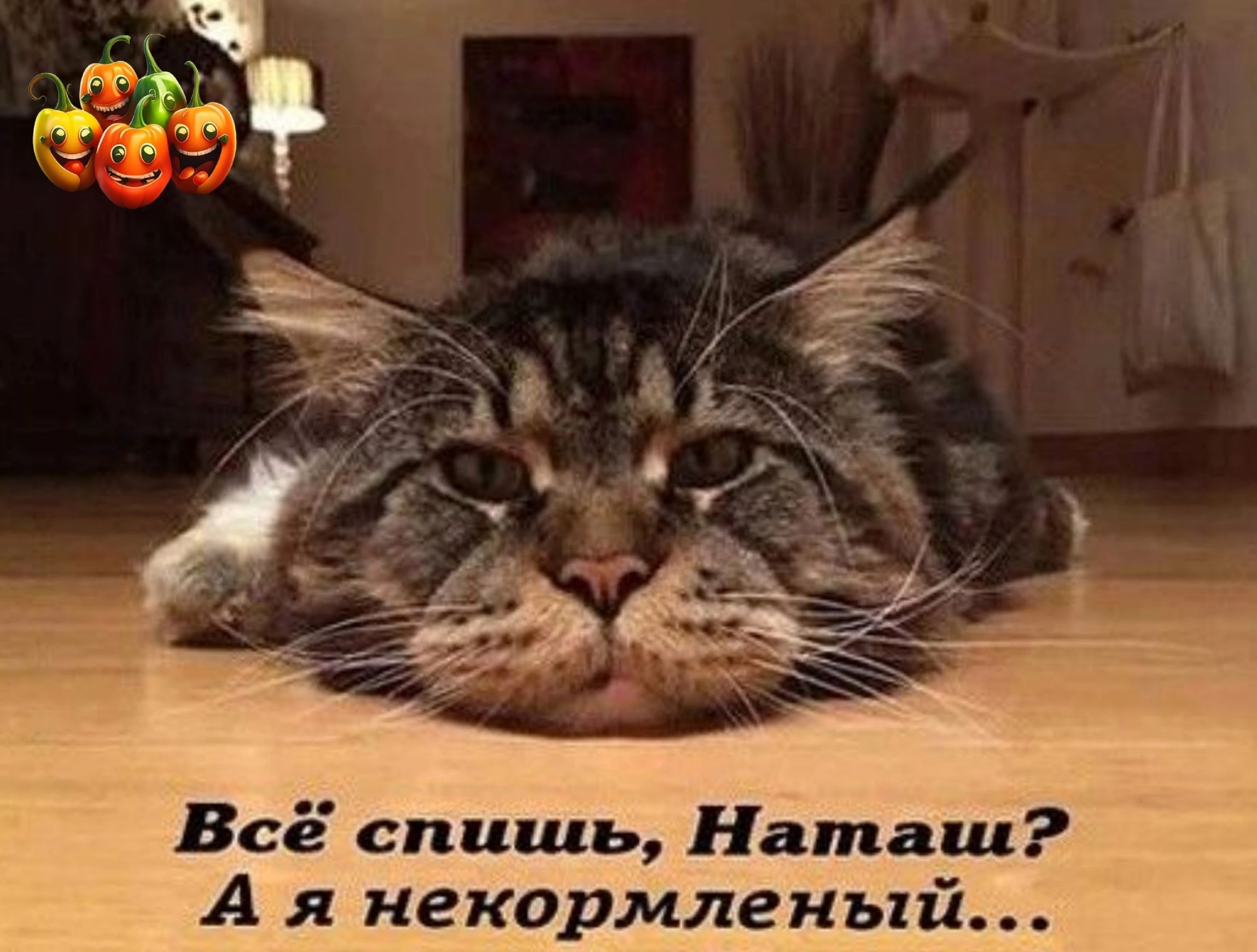 Всё спишь Натали А я некормленый