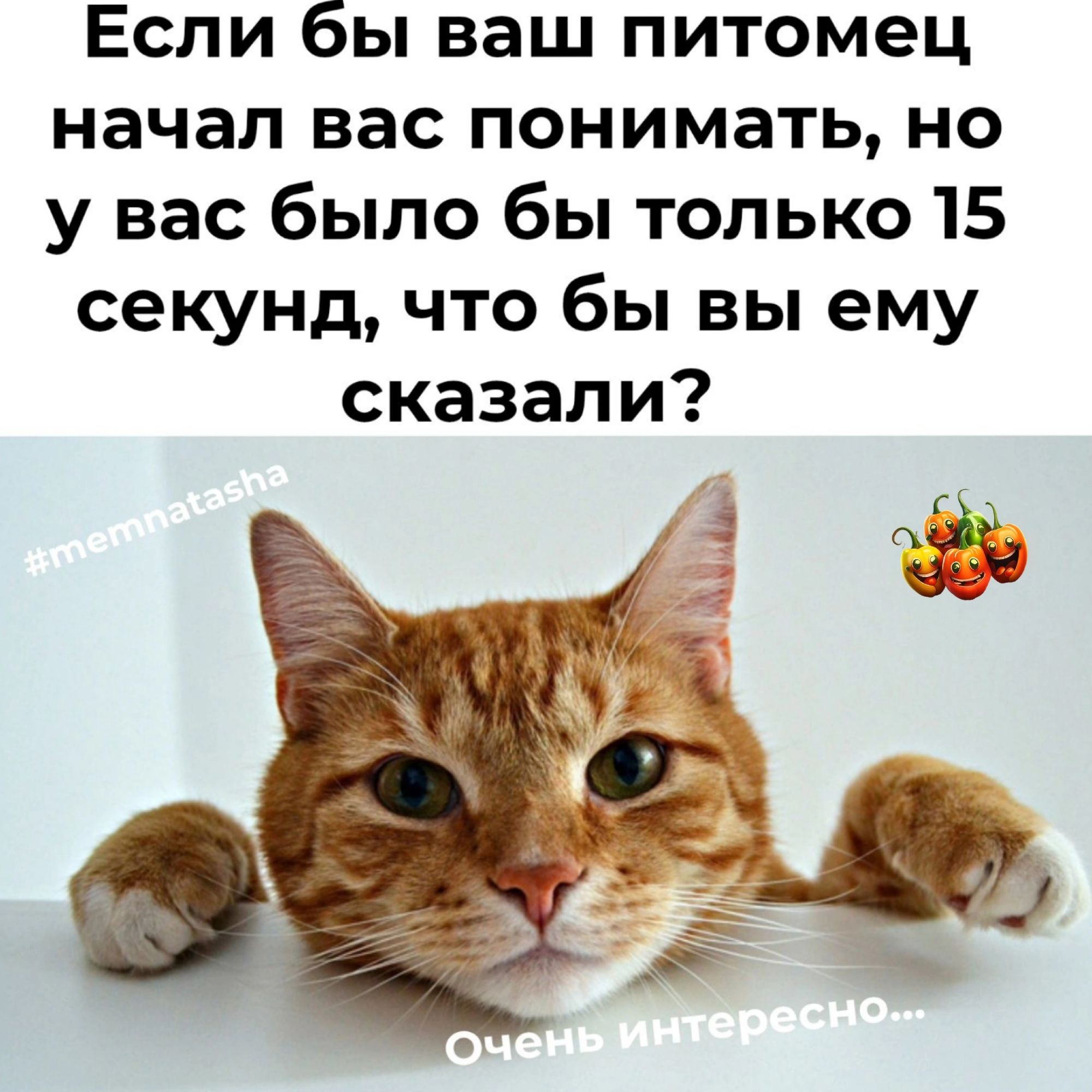 ЕСЛИ бы ВЗШ ПИТОМЭЦ начал вас понимать но у вас было бы только 15 секунд что бы вы ему сказали