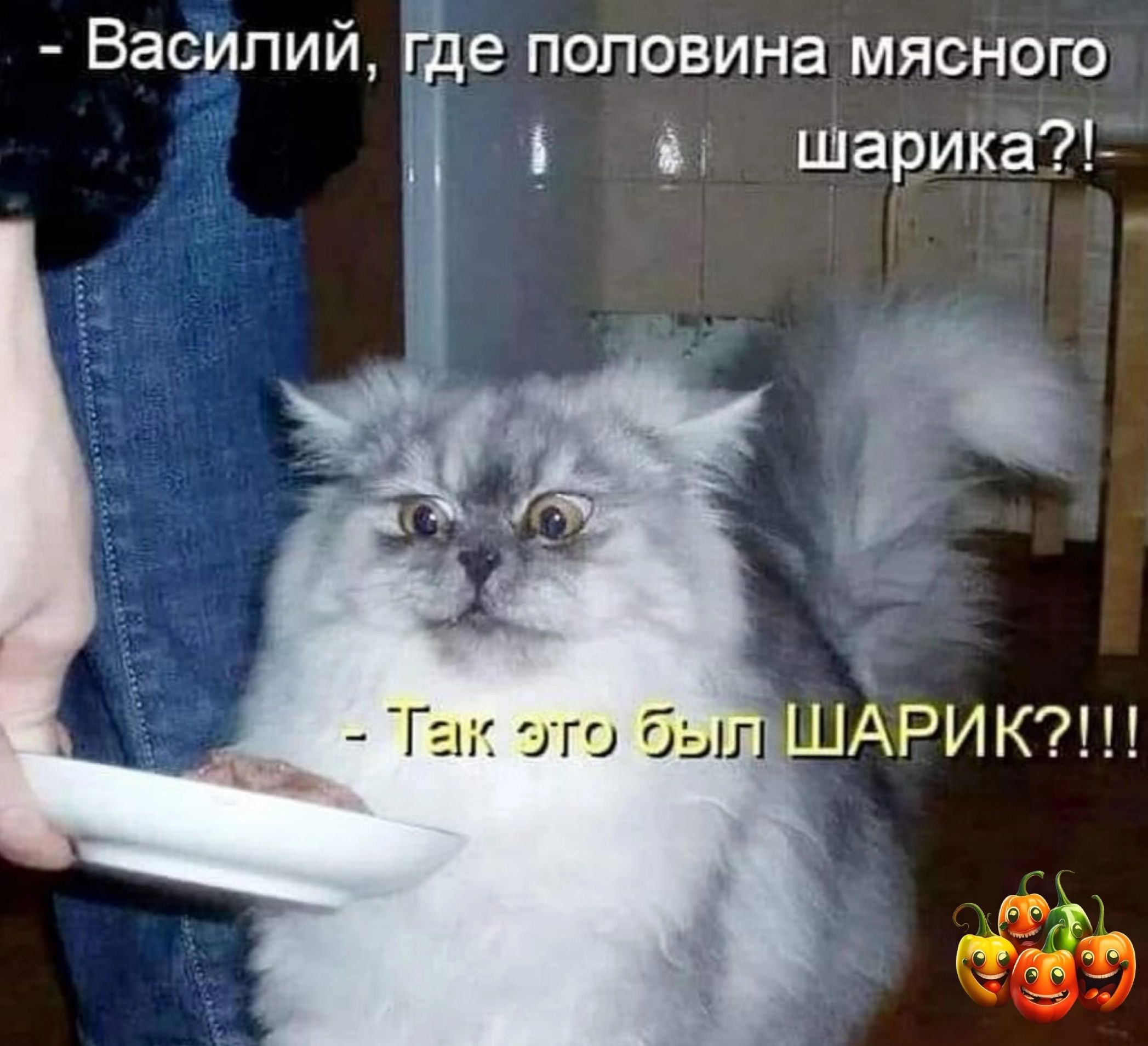Василий где половина мясного д шарикаА