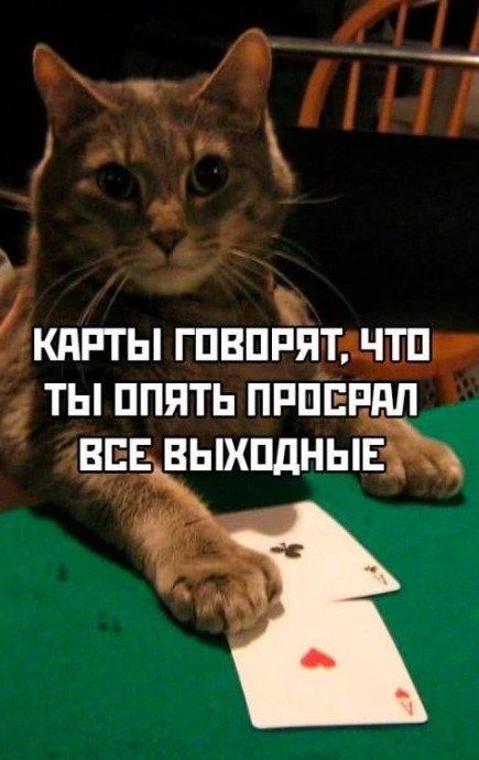 Р КАРТЫ ШВПРЯТШЕ 1 ты ппять пппвпдл 255 выхпдныЁЬ