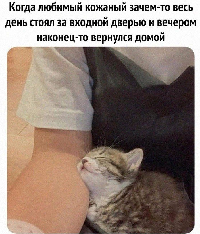 Когда любимый кожаный зачем то весь день стоял за входной дверью и вечером наконец то вернулся домой