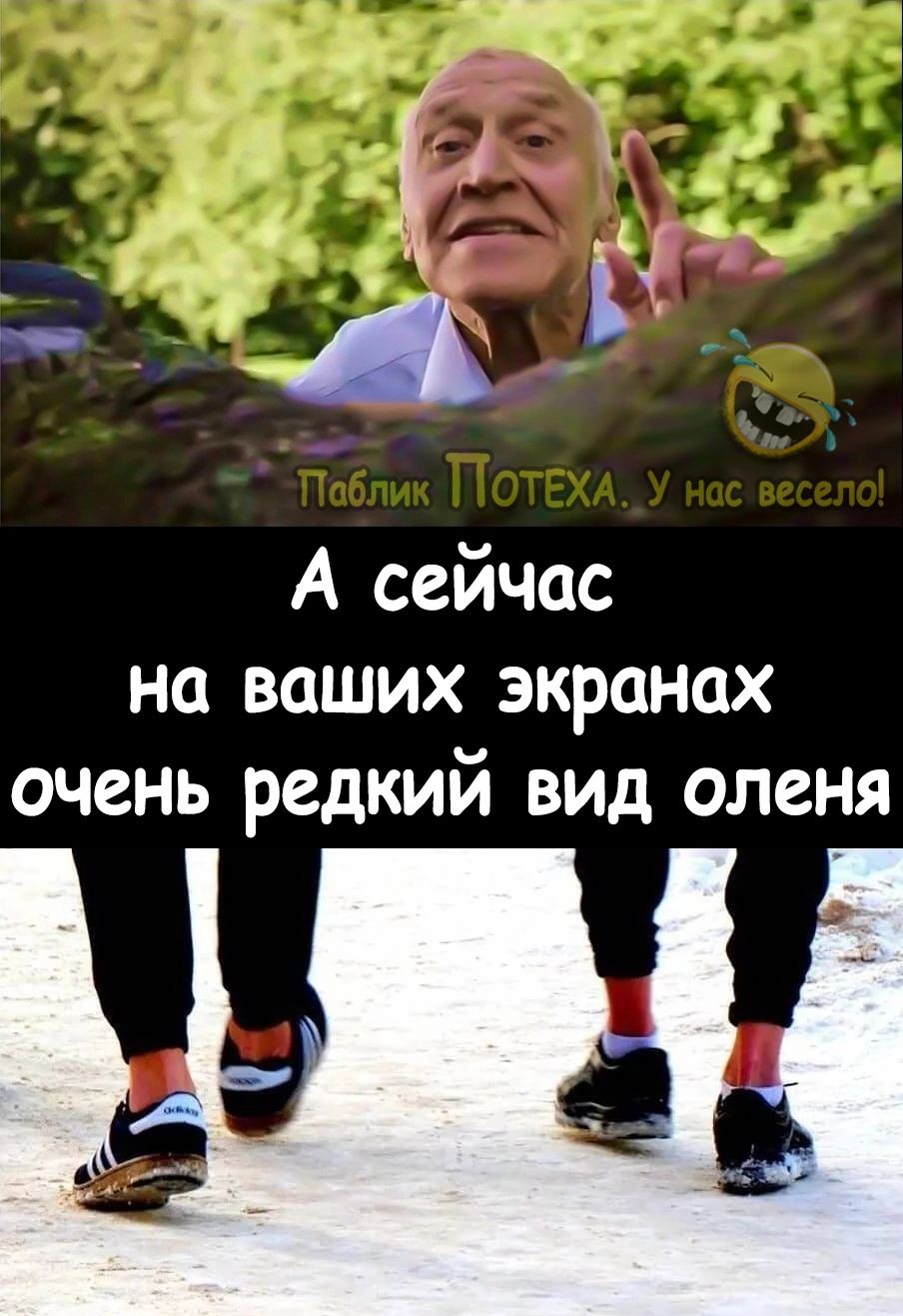 А сейчас на ваших экранах очень редкий вид оленя