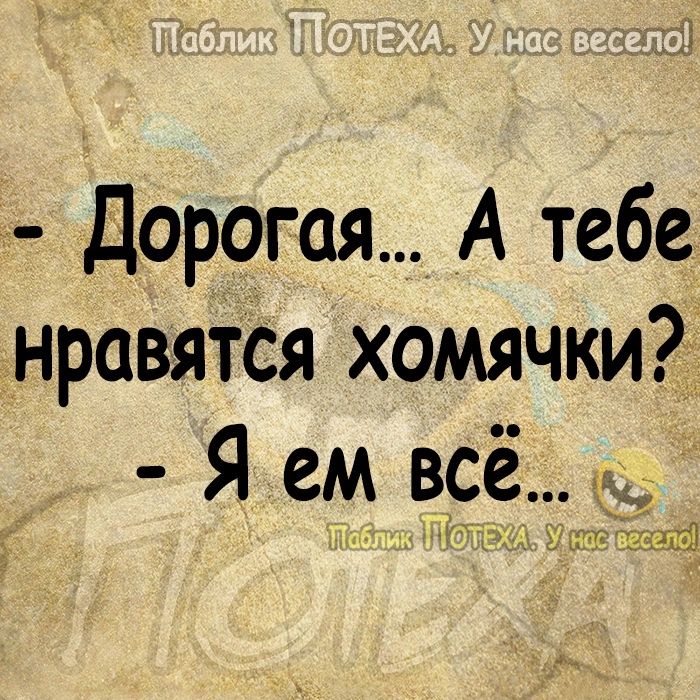 Дорогая А тебе нравятся хомячки Я ем в_9_е _ 431 13