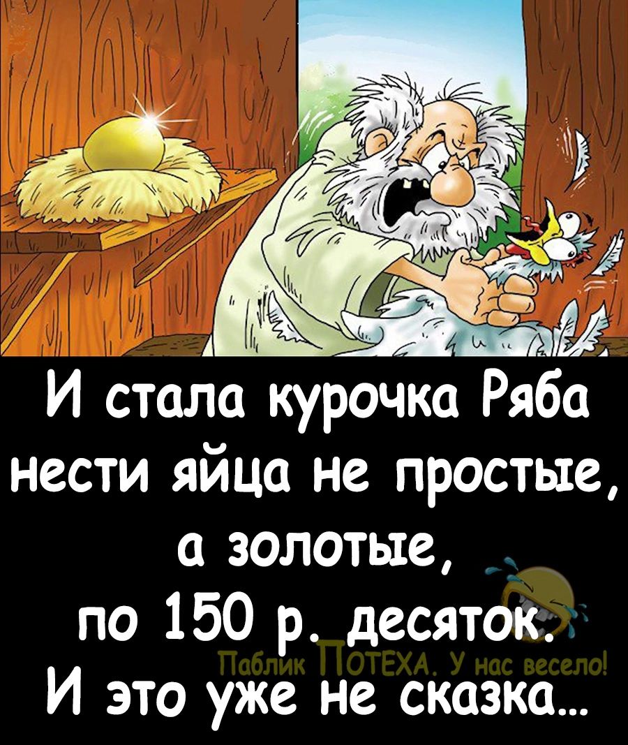 А И стала курочка Ряба нести яйца не простые а золотые по 150 р десяток И это уже не сказка