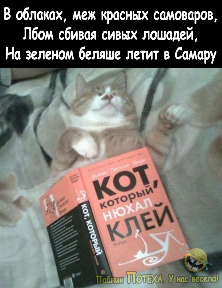 В облаках меж красных самоваров Лбом сбивая сивых лошадей На зеленом беляше летит в Самару _ г