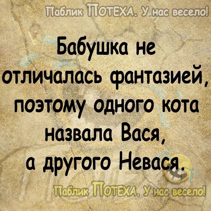 Бабушка не ТотЛИЧалась фантазией поэтому одного кота назвала Вася а другого Невская п И4л щщлі