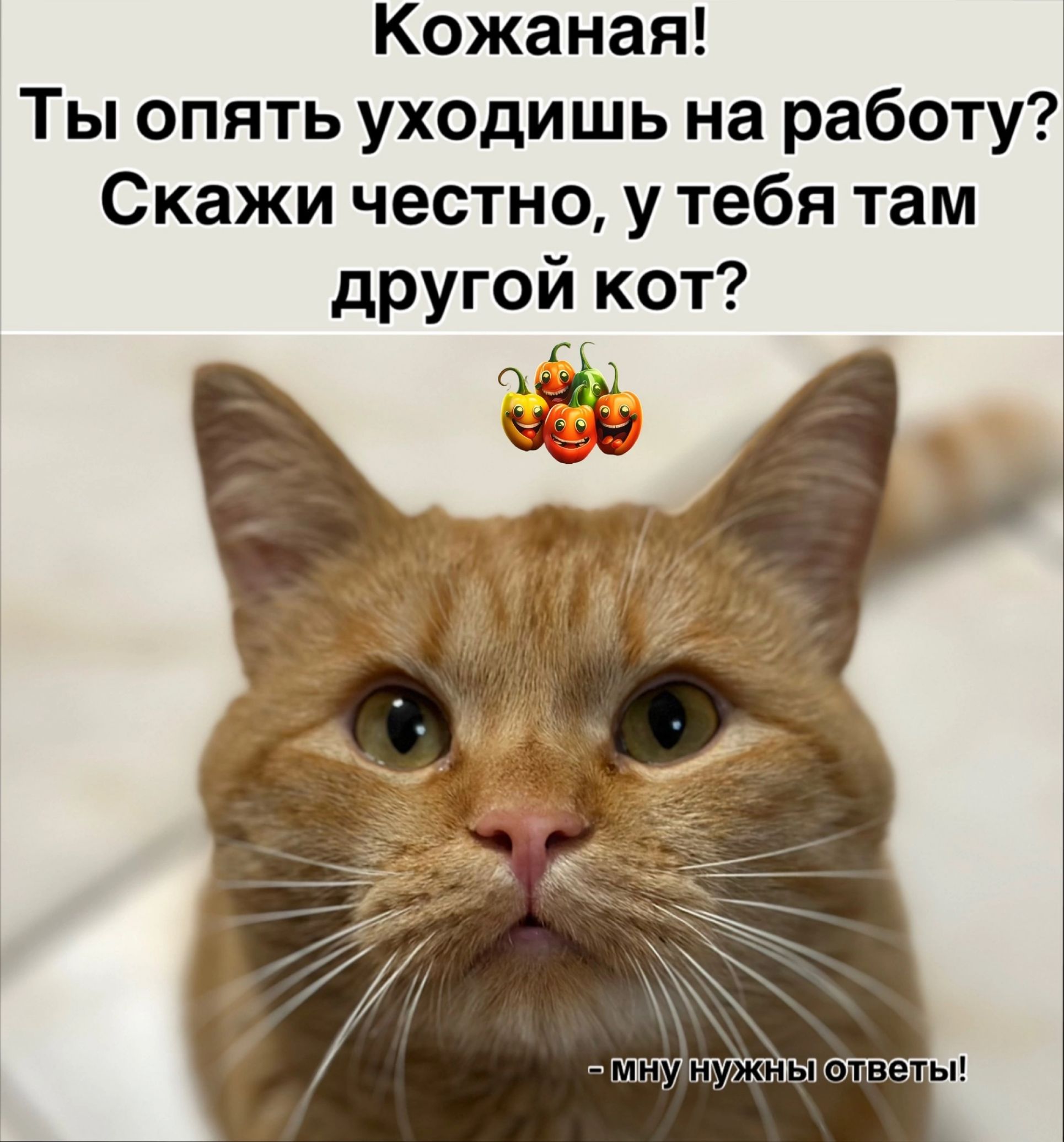 Кожаная Ты опять уходишь на работу Скажи честно у тебя там другой кот