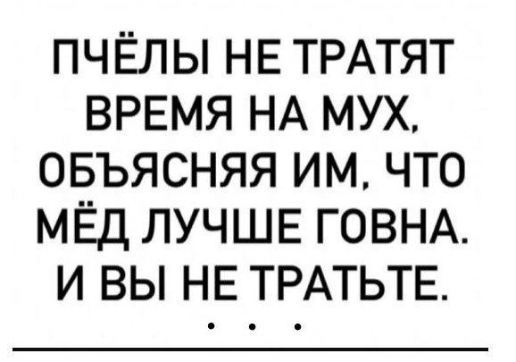 ПЧЁЛ Ы НЕ ТРАТЯТ ВРЕМЯ НА МУХ ОБЪЯСНЯЯ ИМ ЧТО МЁД ЛУЧШЕ ГОВНА И ВЫ НЕ ТРАТЬТЕ