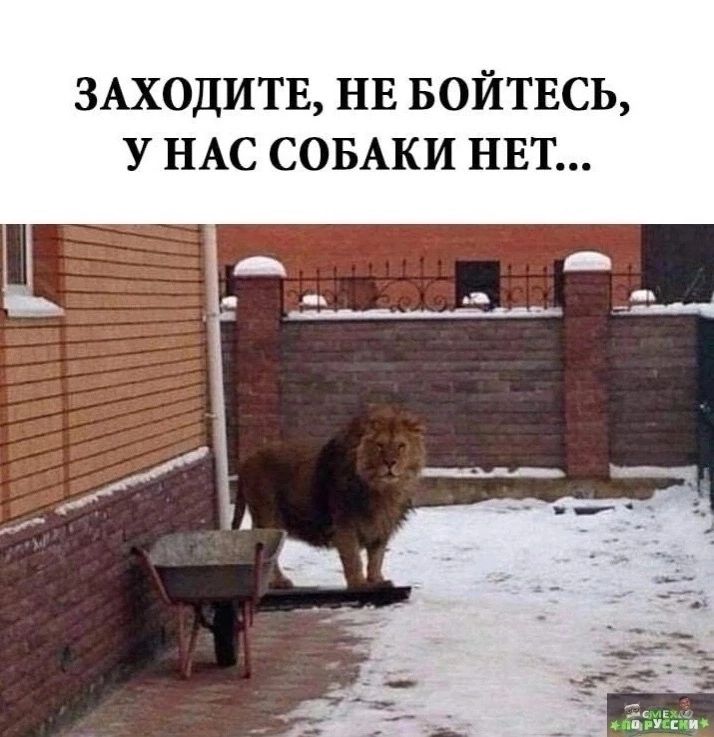 ЗАХОДИТЕ НЕ БОЙТЕСЬ У НАС СОБАКИ НЕТ