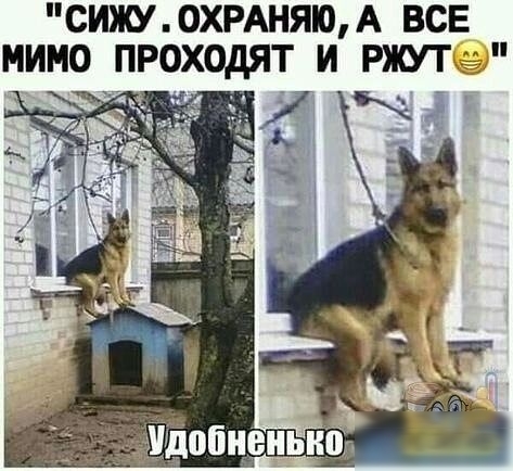 СИЖУ ОХРАНЯЮА ВСЕ ИМО ПРОХОДЯТ И РЖУТ