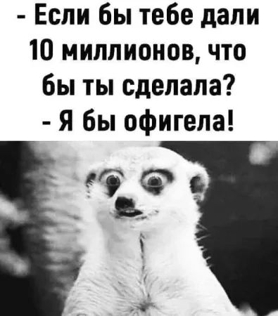 Если бы тебе дали 10 миллионов что бы ты сделала я бы офигепа же _ Ци і д