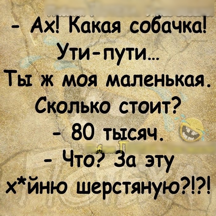 Ах Какая СобачкаГ Ути пути Ты ж моя маленькая Сколыю стоит 80 тьдсяч у Чтб3а ту хйню шерстяную