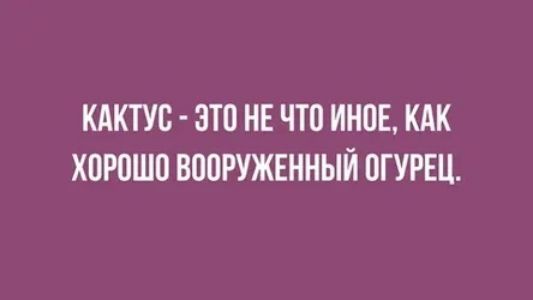 КАКТУО ЭТО НЕ ЧТО ИНОЕ КАК ХОРОШО ВООРУЖЕННЫЙ ОГУРЕЦ