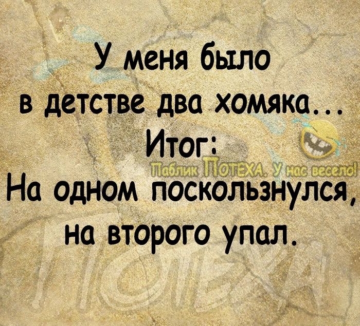 У меня было в детстве два хомяка Ито і п На одном пост знулся на второго упал